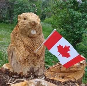 Beaver wit Flag